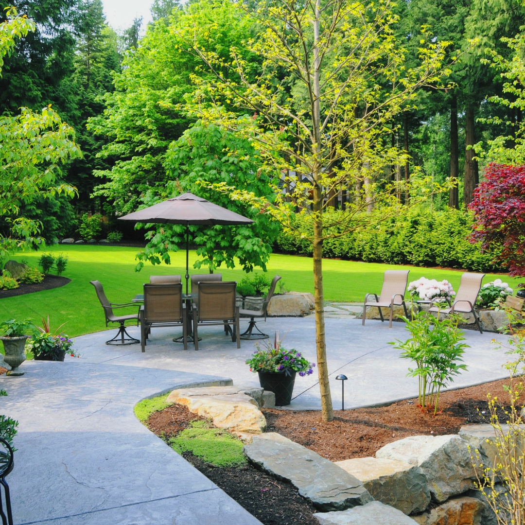 Back Yard & Patio