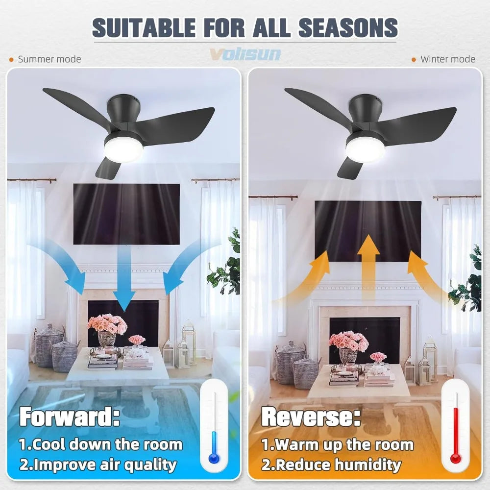 Small Ceiling Fans with Lights, 30in Flush Mount Ceilings Fan with Light and Remote